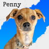 Penny