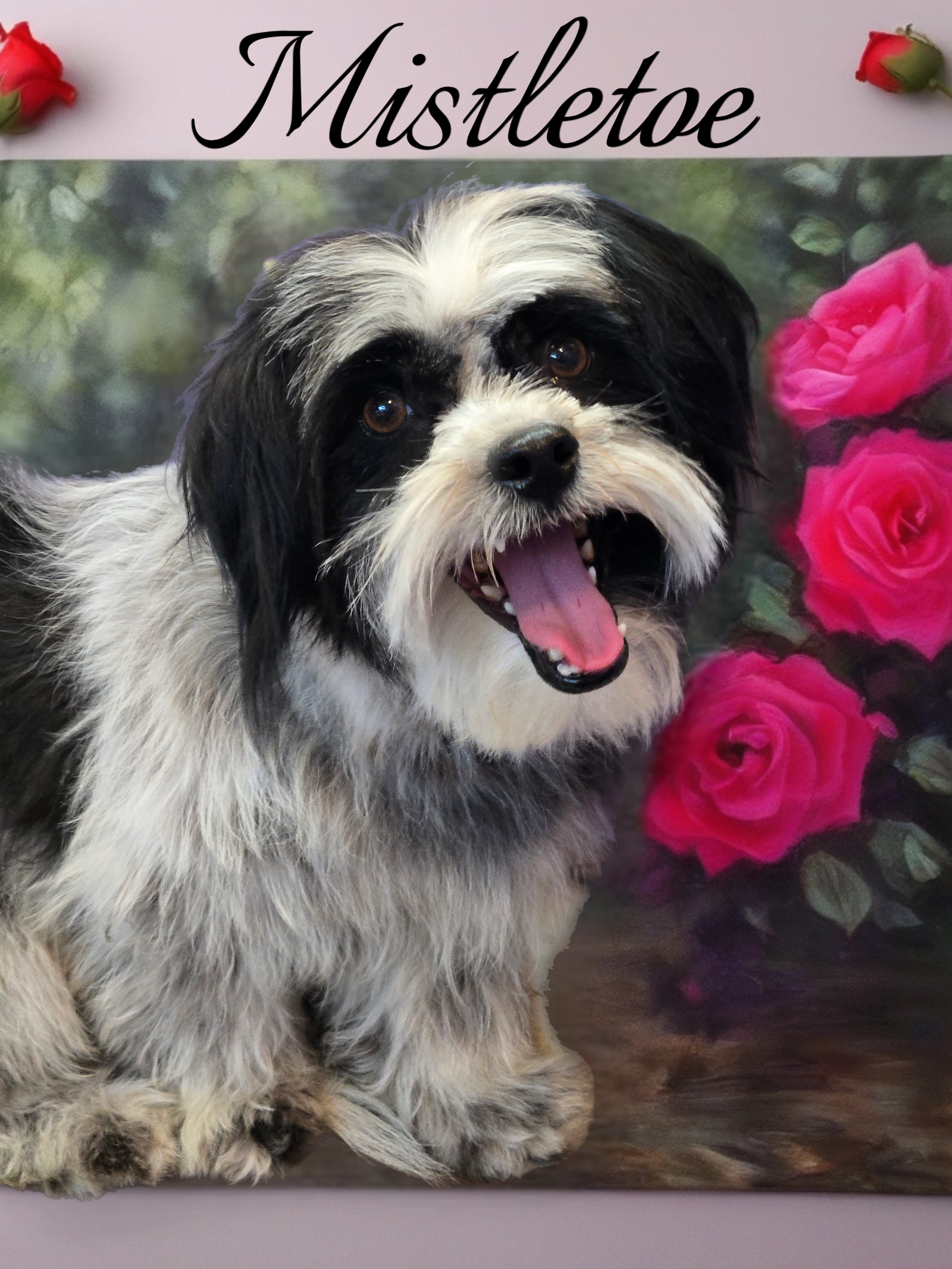 adoptable Dog in Phelan, CA named Mistletoe