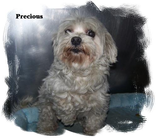 Precious