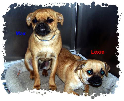 Lexie and Max