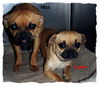 Lexie and Max