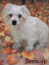 Benson