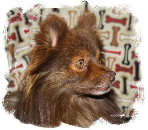 Romeo
