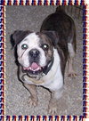 Bubba