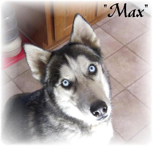 Max