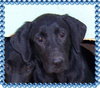 Molly