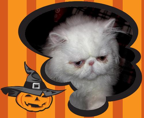 Pumpkin