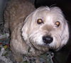 Charlie
