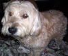 Charlie