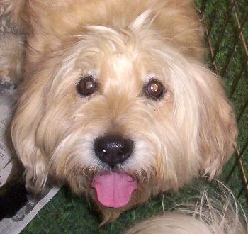 Charlie