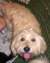 Charlie