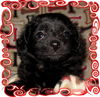 Rosalie