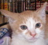 Milton