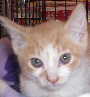 Milton