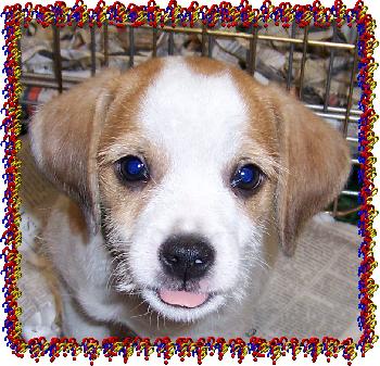 Ron