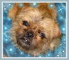 Wickett