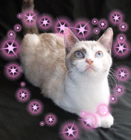 Lola