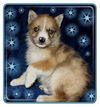 Rollo