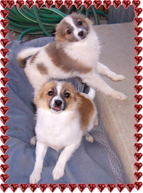 Boo Boo and Deserae