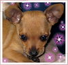 Chichi