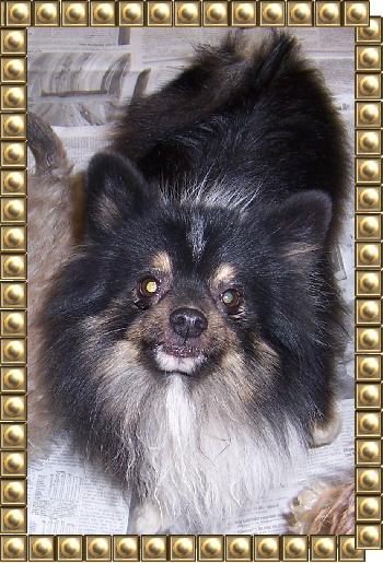 Rosco