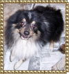 Rosco