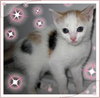 Prissy