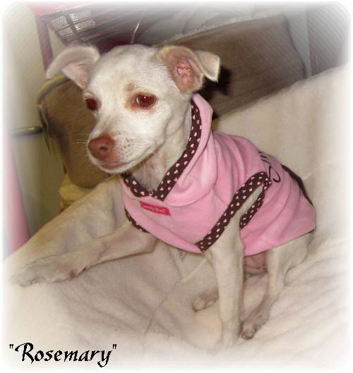 Rosemary