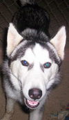 Samson