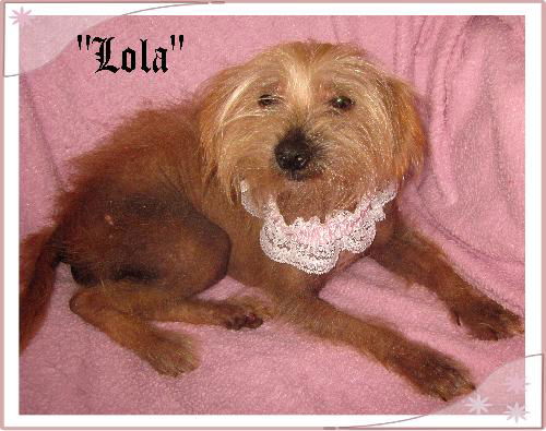 Lola