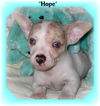 Hope