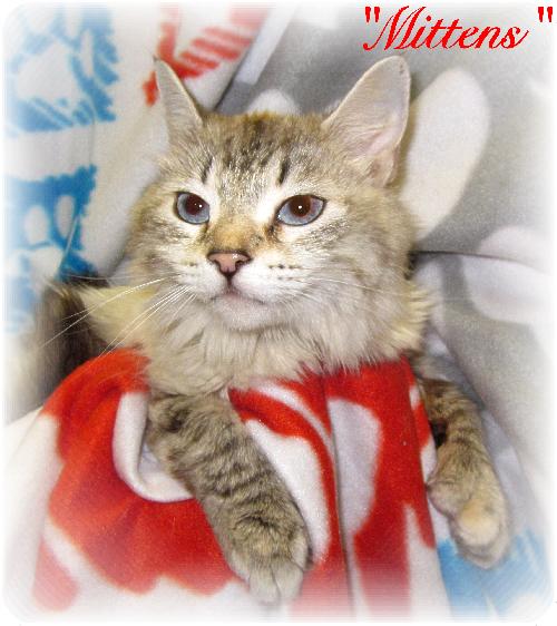 Mittens