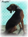 Maybelle