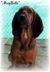Maybelle