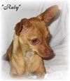Ruby