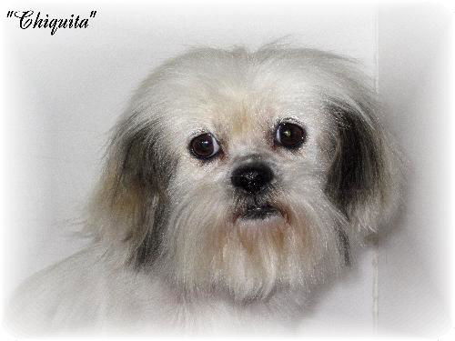 Chiquita