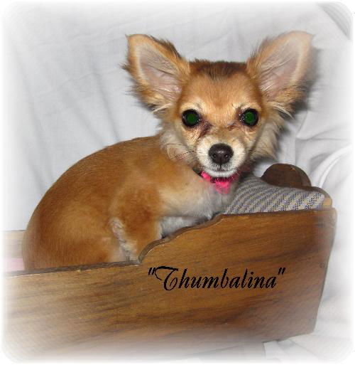 Thumbalina