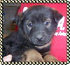 Clyde