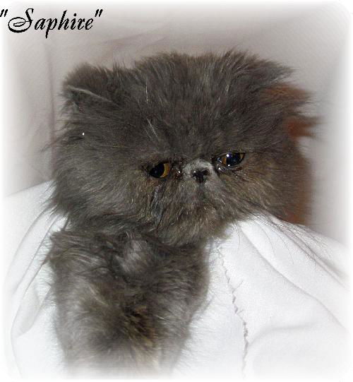 Saphire