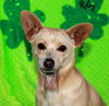 Riley