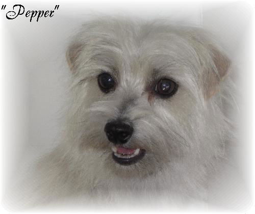 Pepper