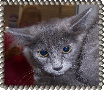 Lucy