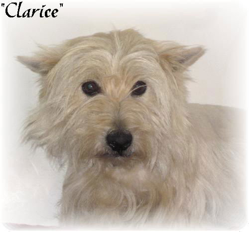 Clarice