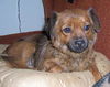 Roxie