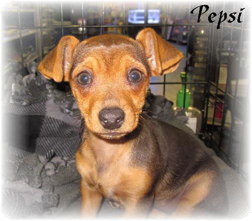 Pepsi