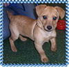 Charlie