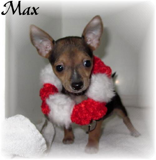 Max