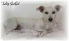 Lady