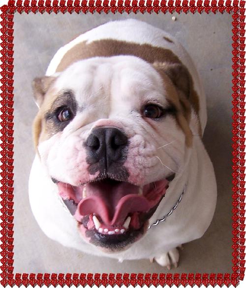 Mugsy
