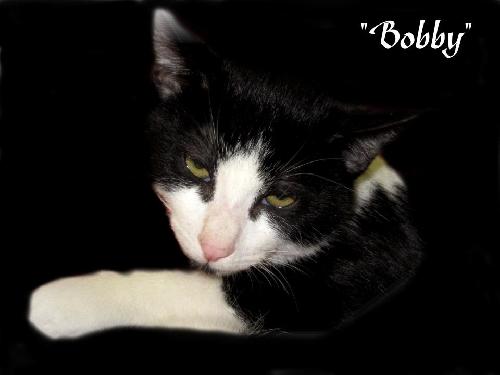 Bobby